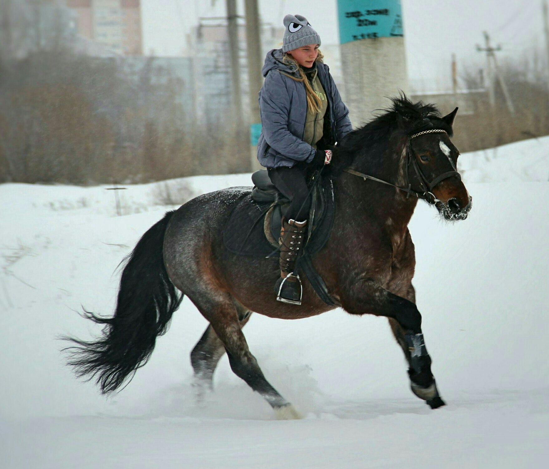 Конноспортивная школа НИУ «БелГУ» г. Белгород, ул. Везельская, д. 144 —  адрес, фото, время работы, афиша и события. Официальный сайт - Спорт  Белогорья