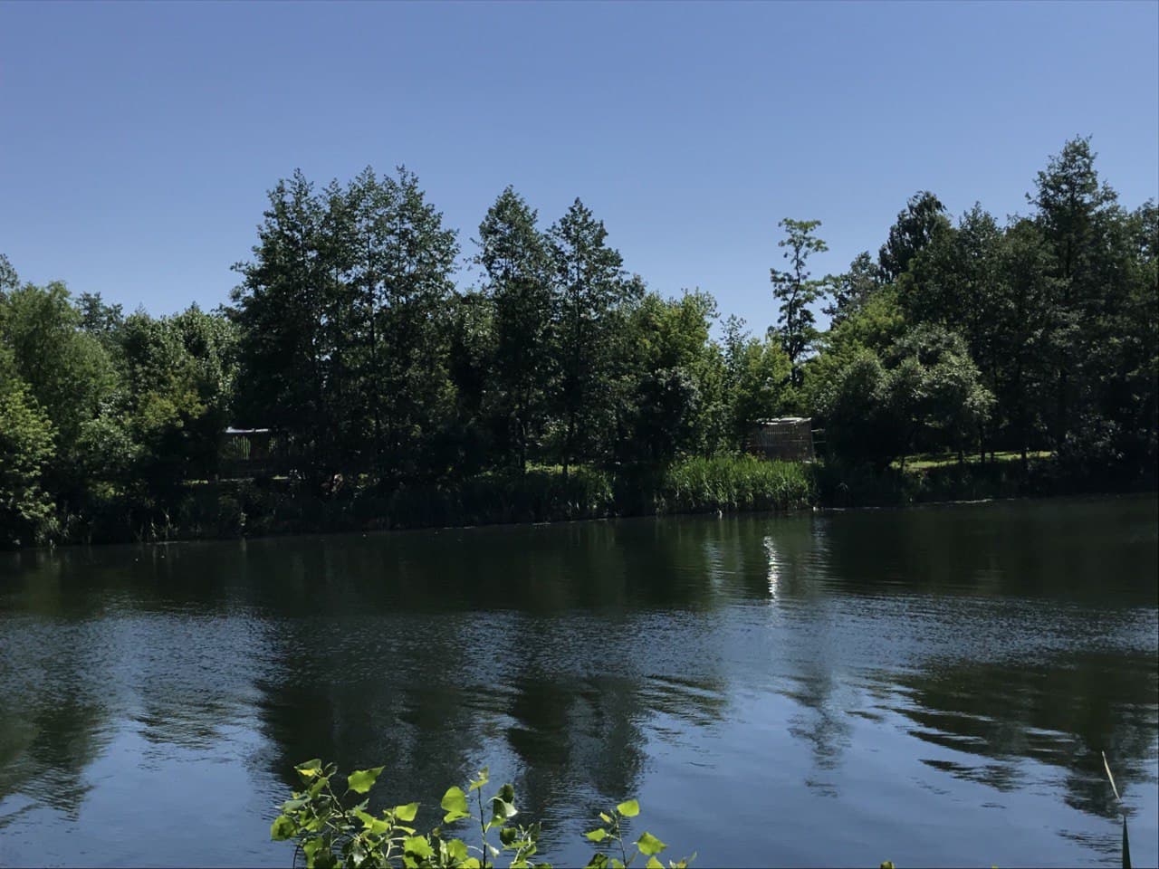 Городской пляж г. Старый Оскол, ул. 17 Героев — адрес, фото, время работы,  афиша и события. Официальный сайт - Спорт Белогорья